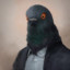 PigeonMan