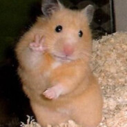 XhamsterX