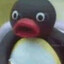 Pingu