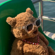 没有梦想的咸鱼