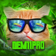 Dem11pro