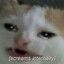 1TapOrMyCatDies