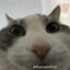 Oweto