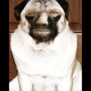 Хачапуроед