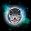 TheWolfyTaylorTTV
