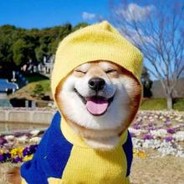 大西瓜