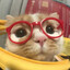 小猫