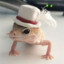 DrierDragon