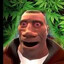Davic
