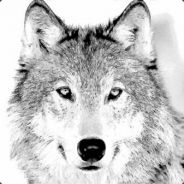 WolfX - steam id 76561197971473787