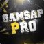 GaMSaP_ProV2