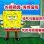 海绵宝哥