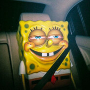 SPONGE