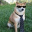 Mr. Swag boss