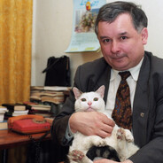 RozkiS