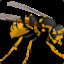 GamingWaspKidd