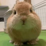 追到你后就嘿嘿嘿