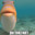 BoldGuppy