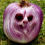 Spooky Onion