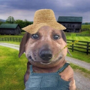 ОТМЫВ ПОРЯДА