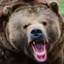 Bear2k