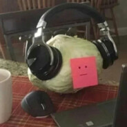 盒马配送 您菜到家了