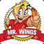 Mr.Wings