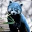 Azure Panda