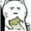 ttxttxc