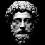 STOIC