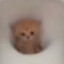 pipindroncik