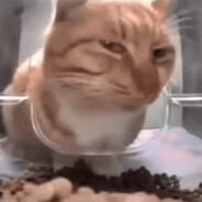 Gato - steam id 76561198315922410