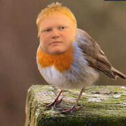 Birdy 1 avatar