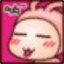 大老猫先生