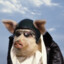 PilotPig64