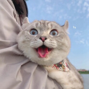 靠谱的年轻男儿