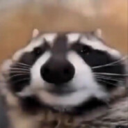 TheeJG