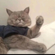 李云龙单手抬冰箱