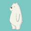 The Ice Bear™