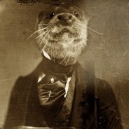 Postus