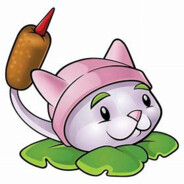 魔法猫咪！稳辣！稳 辣