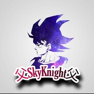 SkyKnight