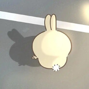 求求你少睡点觉