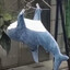🐬Niji🐬