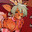 e621 pfp