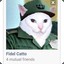 Fidel Catto