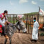 DOC. DE BURROS