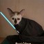 Yoda ZolDyck