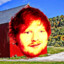 Shed Sheeran