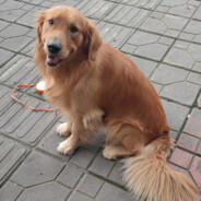 法外狂徒——张三